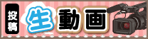 投稿生動画